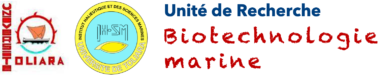 Test and Analysis of Materials